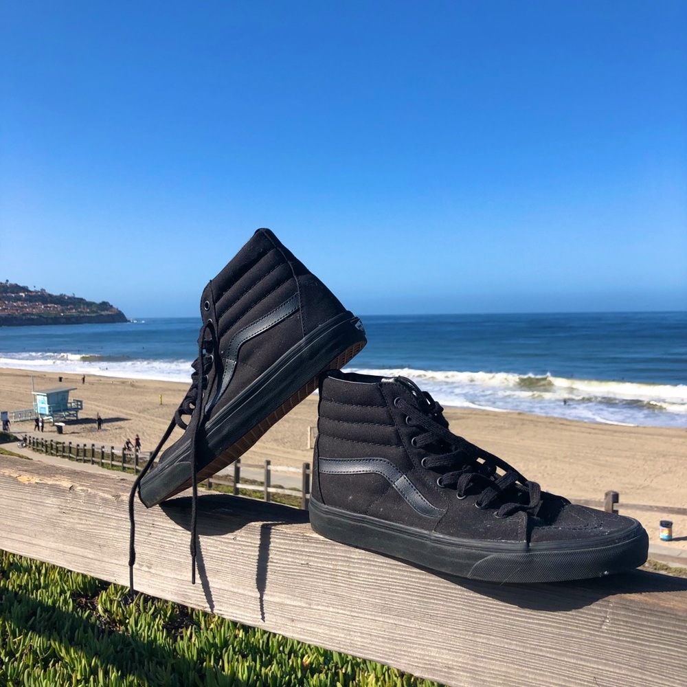 Vans Skate Shoes